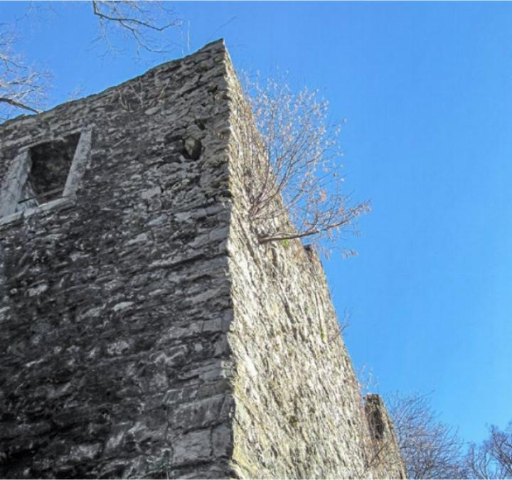 Sträucher wachsen aus den Mauern der Tellenburg. BILD: ZVG