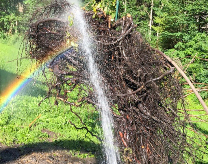 Beim Reinigen des Wurzelstocks bildete sich ein Regenbogen – ein Zeichen der Hoffnung für Mitholz, wie Dory Schmid sagt. BILD: ZVG