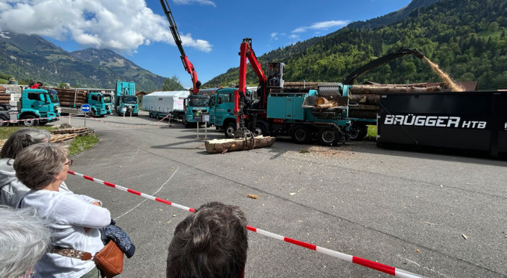 Ganze Baumstämme werden von dieser Spezialmaschine mit grosser Kraft zu Schnitzeln verarbeitet. BILDER: HSF