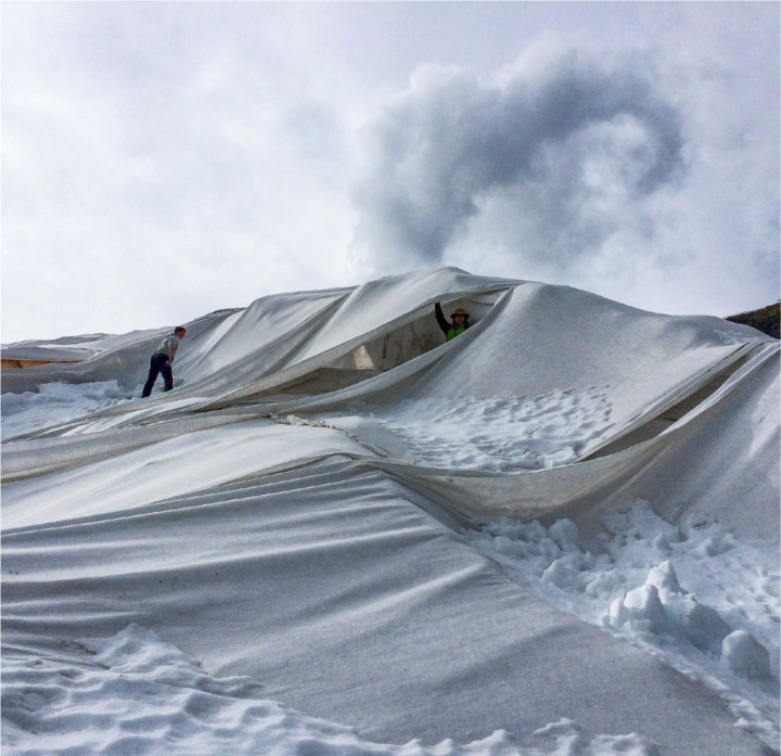 Wenn schon Neuschnee liegt, ist das Abdecken des Snowfarming-Depots um einiges anspruchsvoller. Das war 2020 (Bild) ebenso der Fall wie dieses Jahr. ARCHIVBILD: RLZ FRUTIGEN