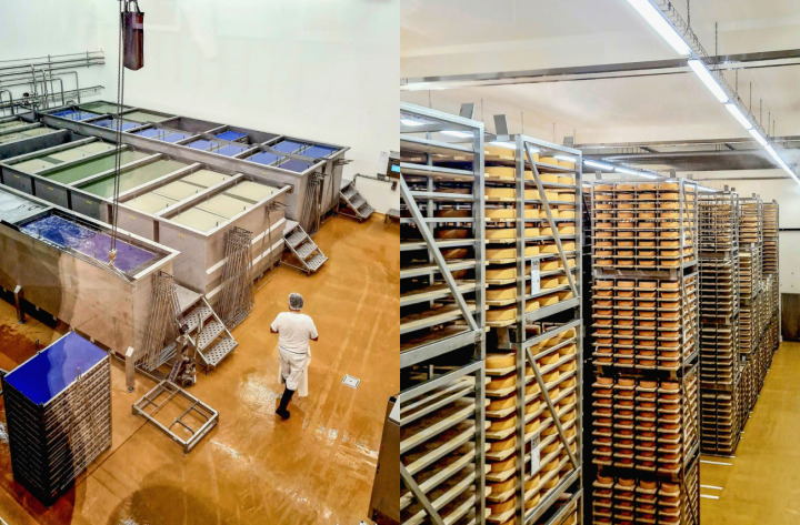 Einblicke in die Oberländer Käseproduktion: Der Frauenverband tagte in Oey-Diemtigen und besichtigte die Naturparkkäserei. BILDER: ZVG