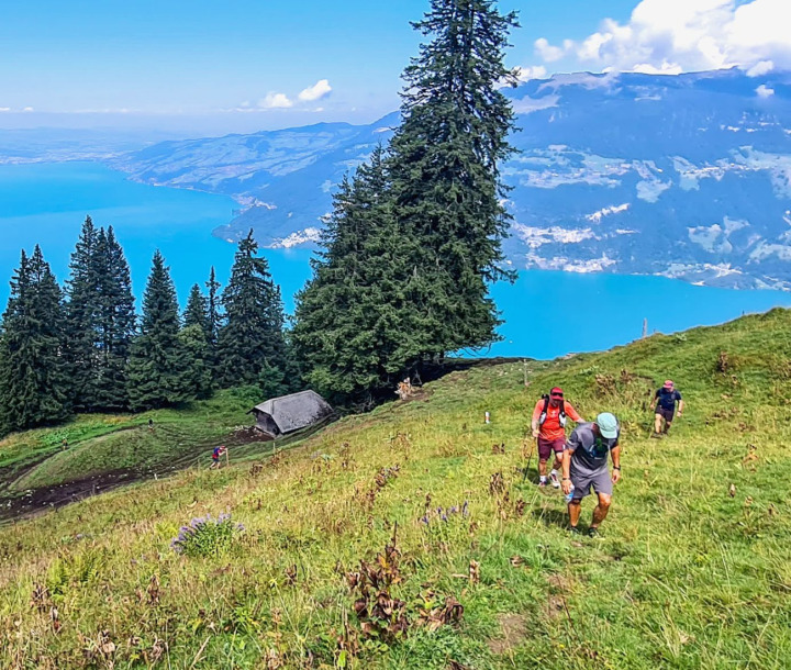 Läufer am Trail Run-Anlass Aeschiried hoch über dem Thunersee. BILD: ZVG