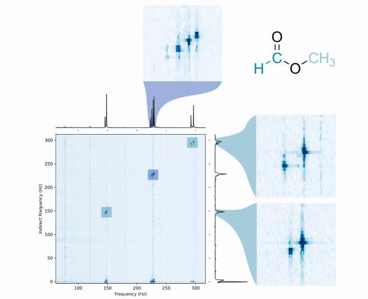 Beispiel einer Spin-Analyse von Methylformiat (Ameisensäuremethylester) BILD: ZVG / RAPHAEL ZUMBRUNN Beispiel einer Spin-Analyse von Methylformiat (Ameisensäuremethylester) BILD: ZVG / RAPHAEL ZUMBRUNN