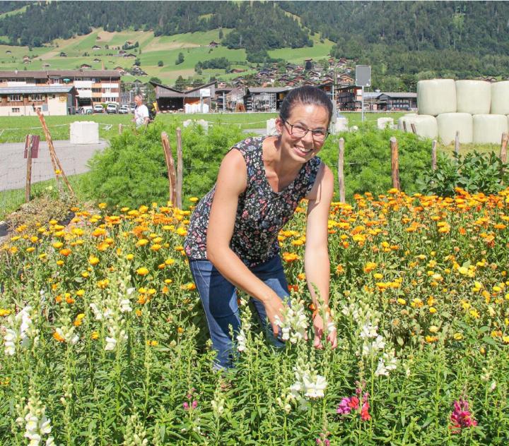 Priscilla Lörtscher zwischen Löwenmäulchen- und Ringelblumenbeet BILD: KATHARINA WITTWER