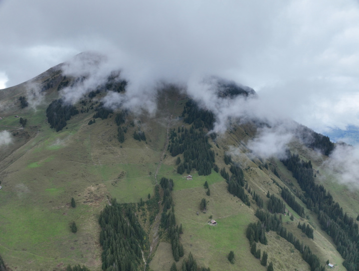 An dieser Stelle ereignete sich das Unglück. Bild: Kantonspolizei Bern
