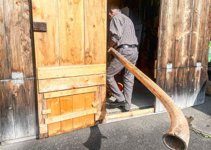 Für sein allererstes Alphorn hat Johannes Schranz eine krumme Fichte ausgehöhlt. BILDER: RACHEL HONEGGER