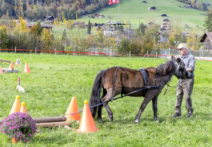 Hansueli Stöckli aus Hondrich mit seinem 32-jährigen Pony «Prinz» BILDER: MICHAEL SCHINNERLING