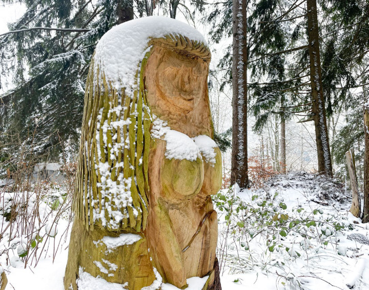 Dieses hölzerne Wesen hat der Reichenbacher Niklaus Lötscher im Wald oberhalb der Engelgiessstrasse angetroffen. «Die Dame trotzt mutig der Kälte und dem Schnee», schreibt der Leserfotograf dazu.