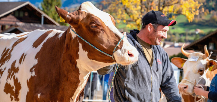 BILD: CHANTAL STEURI