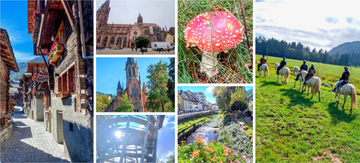 Die Herbstferien boten für viele Schülerinnen und Schüler die Möglichkeit, einmal durchzuatmen und frische Kraft zu tanken. BILDER: LORENA, JAEL UND ELIANE