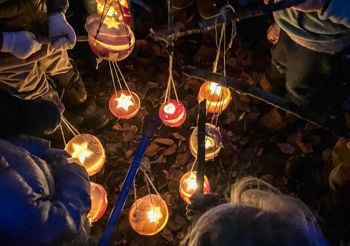 Die fertig geschnitzten Räbeliechtli der Kinder erleuchten den dunklen Wald bei Frutigen. BILD: NICOLE WEGMÜLLER