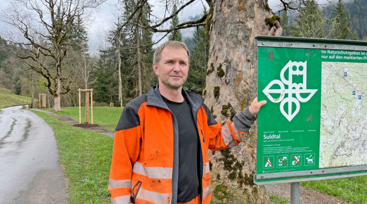 Reto Gyger am Eingang zum Suldtal, im Hintergrund zwei neu gepflanzte Bergahorne BILDER: PETER ROTHACHER