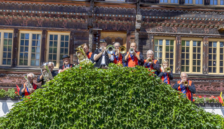 Die Musikgesellschaft Reichenbach BILD: MICHAEL SCHINNERLING