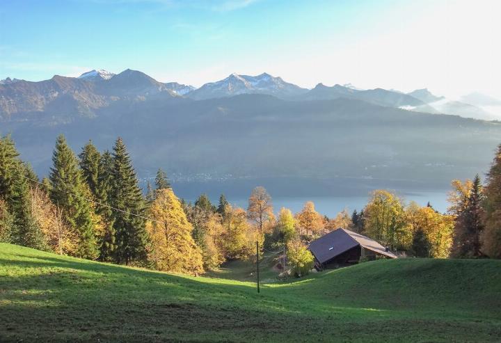 Die Aussicht auf den Thunersee vom Wanderweg Beatenberg - Beatenbucht. BILD: THOMAS FEUZ