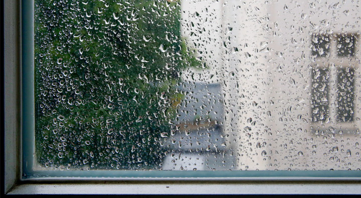 In letzter Zeit kein seltenes Bild: Regenwetter ist die Konstante dieses Sommers. BILD: PLOOSY / STOCK.ADOBE.COM