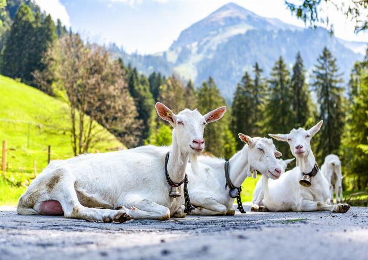 Auch das Suldtal ist Teil der Wanderung. BILD: ZVG