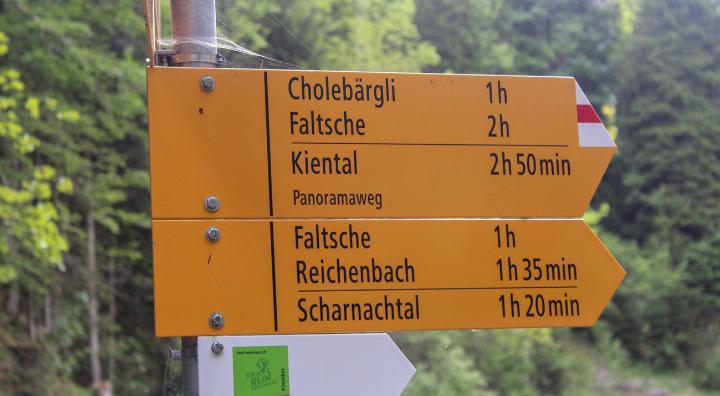 Der Weg soll nun gemeinsam besichtigt und überprüft werden. Vorerst gilt allerdings: «Kein Durchkommen an diesen Stellen.» BILD: MARTIN NATTERER