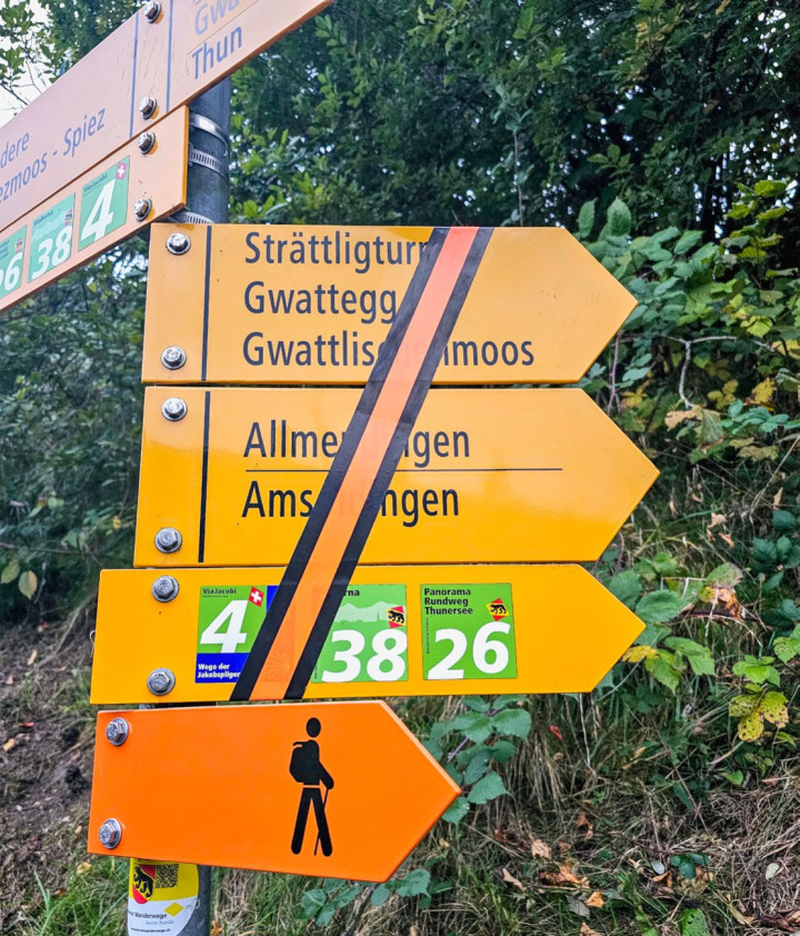 Die auf der Spiezer Seite gelegenen Widerlager der Brücke am Unterlauf der Kander unterliegen einem fortschreitenden Erosionsprozess. BILD: MARTIN NATTERER