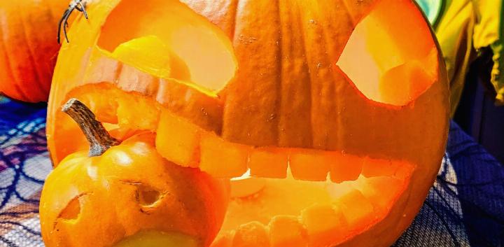 Was macht man mit der Herbstdekoration nach dem Herbst? Aufessen! BILD: ADELINE FANCY