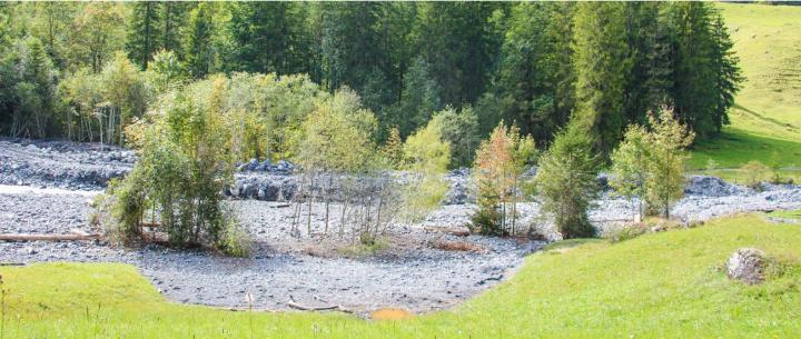 Das Geschiebe vom Aermigbach liegt teilweise noch bis zu 4,5 Meter hoch. BILD: KATHARINA WITTWER