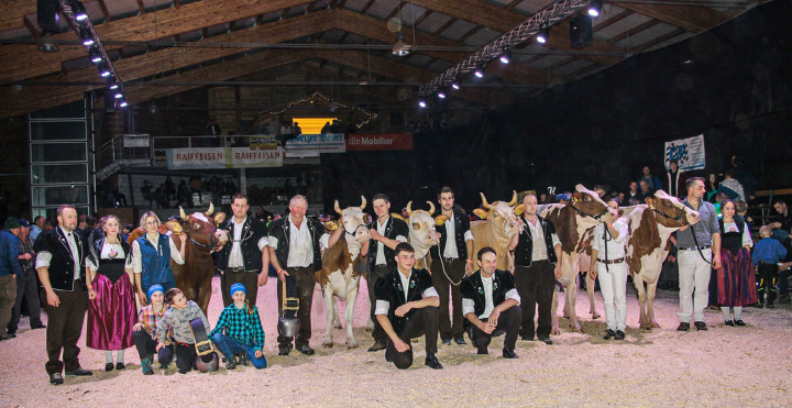 Das Stelldichein der sechs Missen, ihrer ZüchterInnen, der Ehrendamen, des Richters und des Ringman. ALLE BILDER: KATHARINA WITTWER