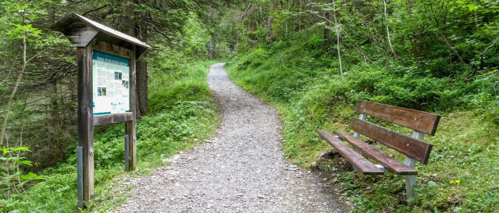 Infotafeln und Ruhebänke säumen den Rundweg, der über längere Strecken durch schattenspendenden Bergwald verläuft. BILD: MARCEL MARMET