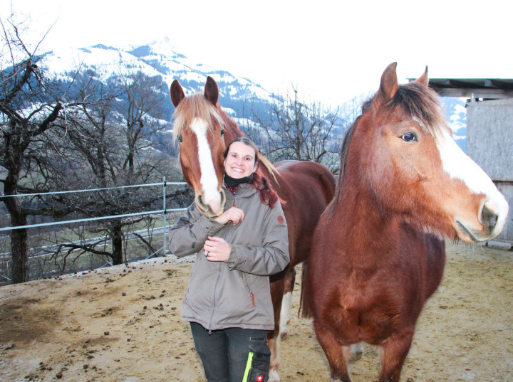 Ina Kiessling fehlt oft die Zeit, mit ihren Ur-Freibergern auszureiten. BILD: K ATHARINA WITTWER