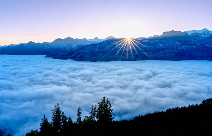 Über dem Nebel auf der Mäggisserenegg. BILD: MARTIN WENGER