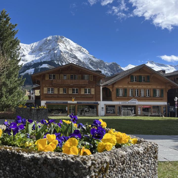 Die Übergangszeit präsentiert sich in intensiven Farben. Fotografiert
